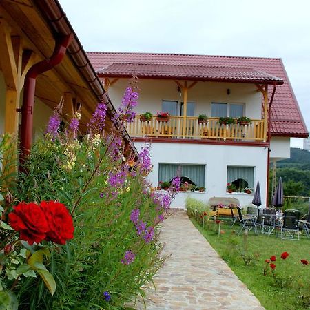 Pensiunea Poezii Alese Valea Drăganului Esterno foto