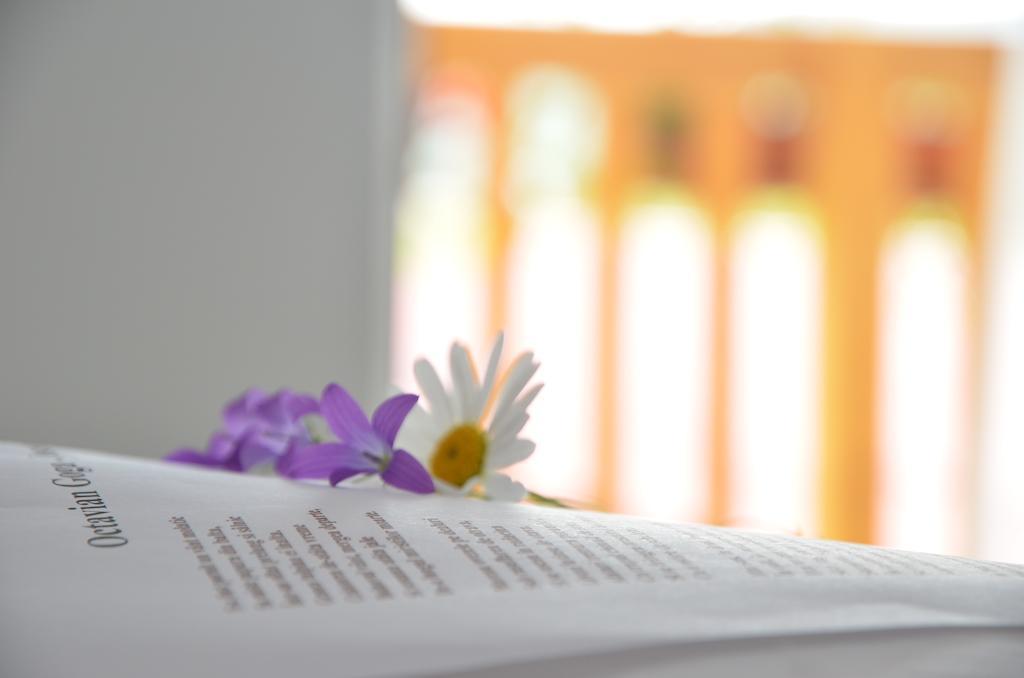 Pensiunea Poezii Alese Valea Drăganului Camera foto