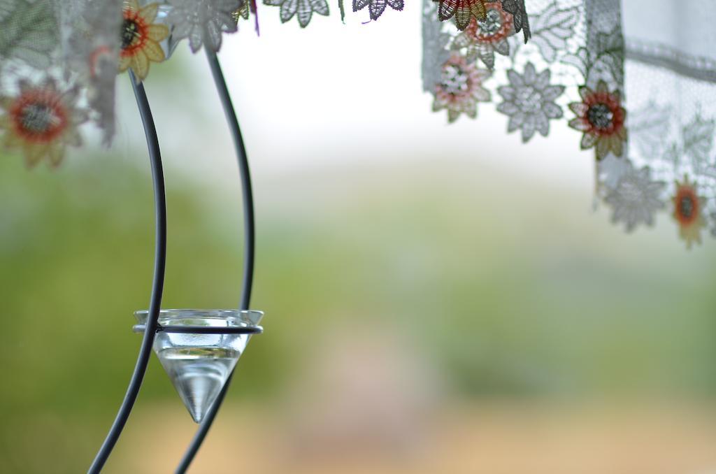 Pensiunea Poezii Alese Valea Drăganului Camera foto
