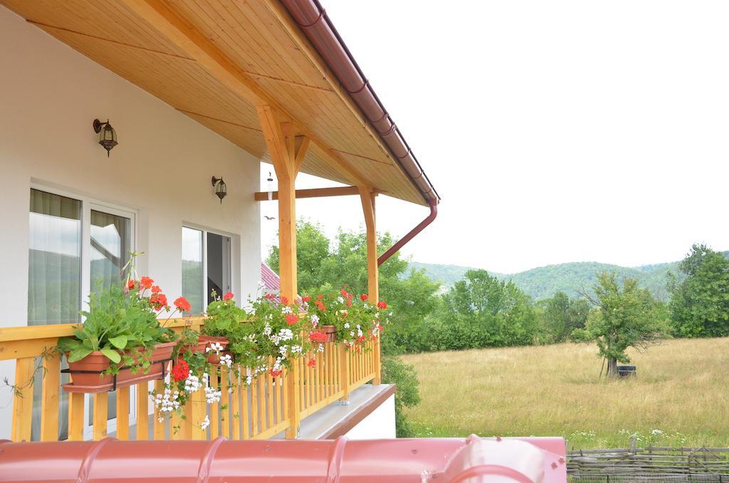 Pensiunea Poezii Alese Valea Drăganului Esterno foto