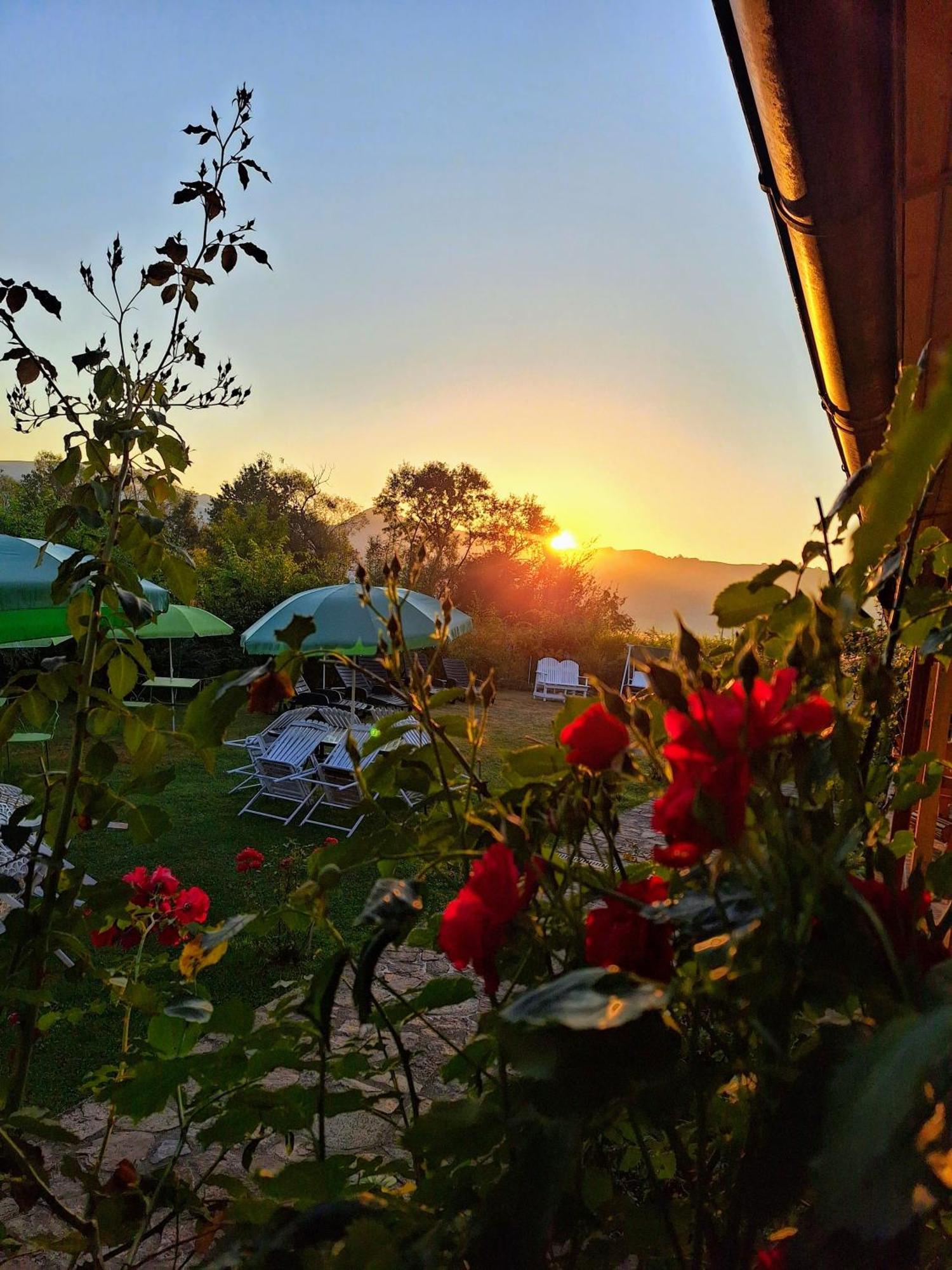 Pensiunea Poezii Alese Valea Drăganului Esterno foto