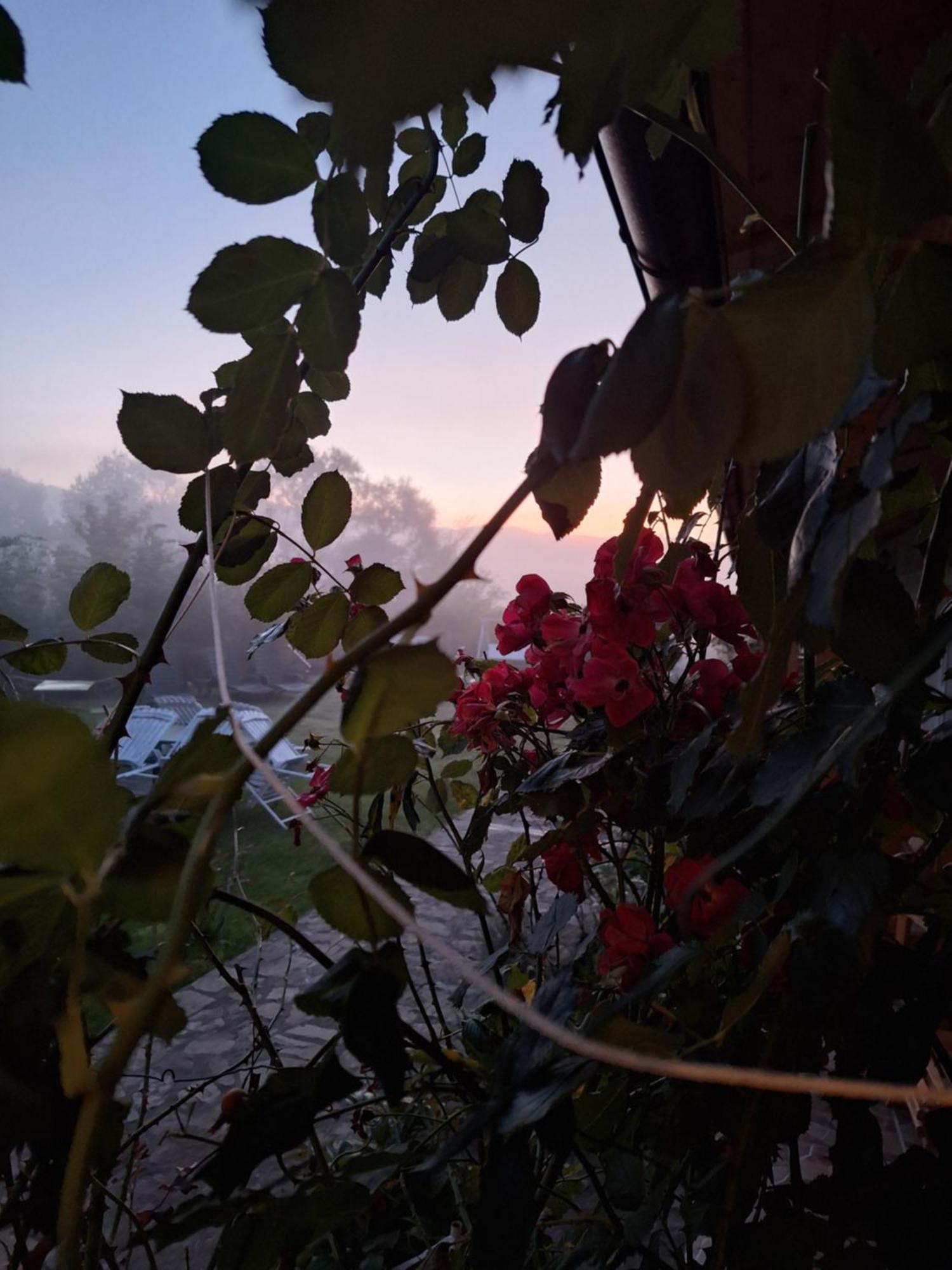 Pensiunea Poezii Alese Valea Drăganului Esterno foto