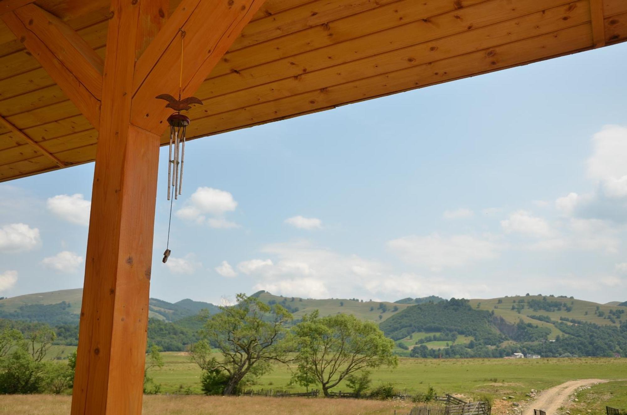 Pensiunea Poezii Alese Valea Drăganului Esterno foto