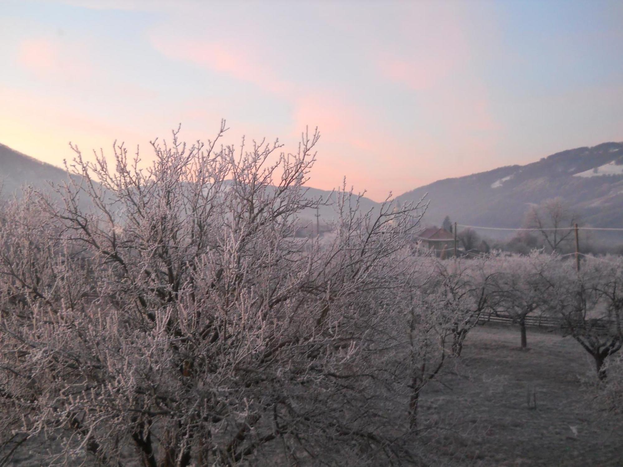 Pensiunea Poezii Alese Valea Drăganului Esterno foto