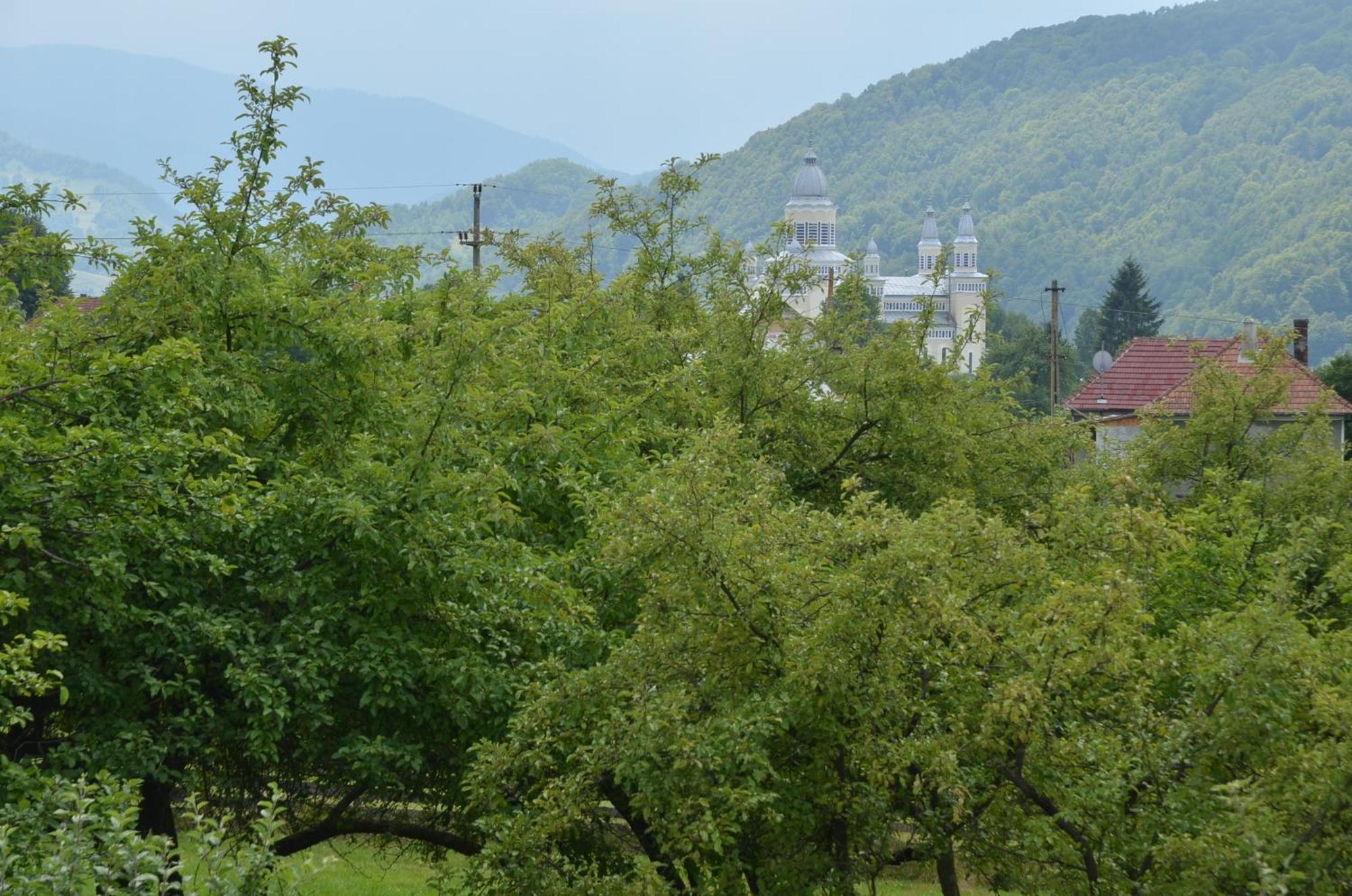 Pensiunea Poezii Alese Valea Drăganului Esterno foto
