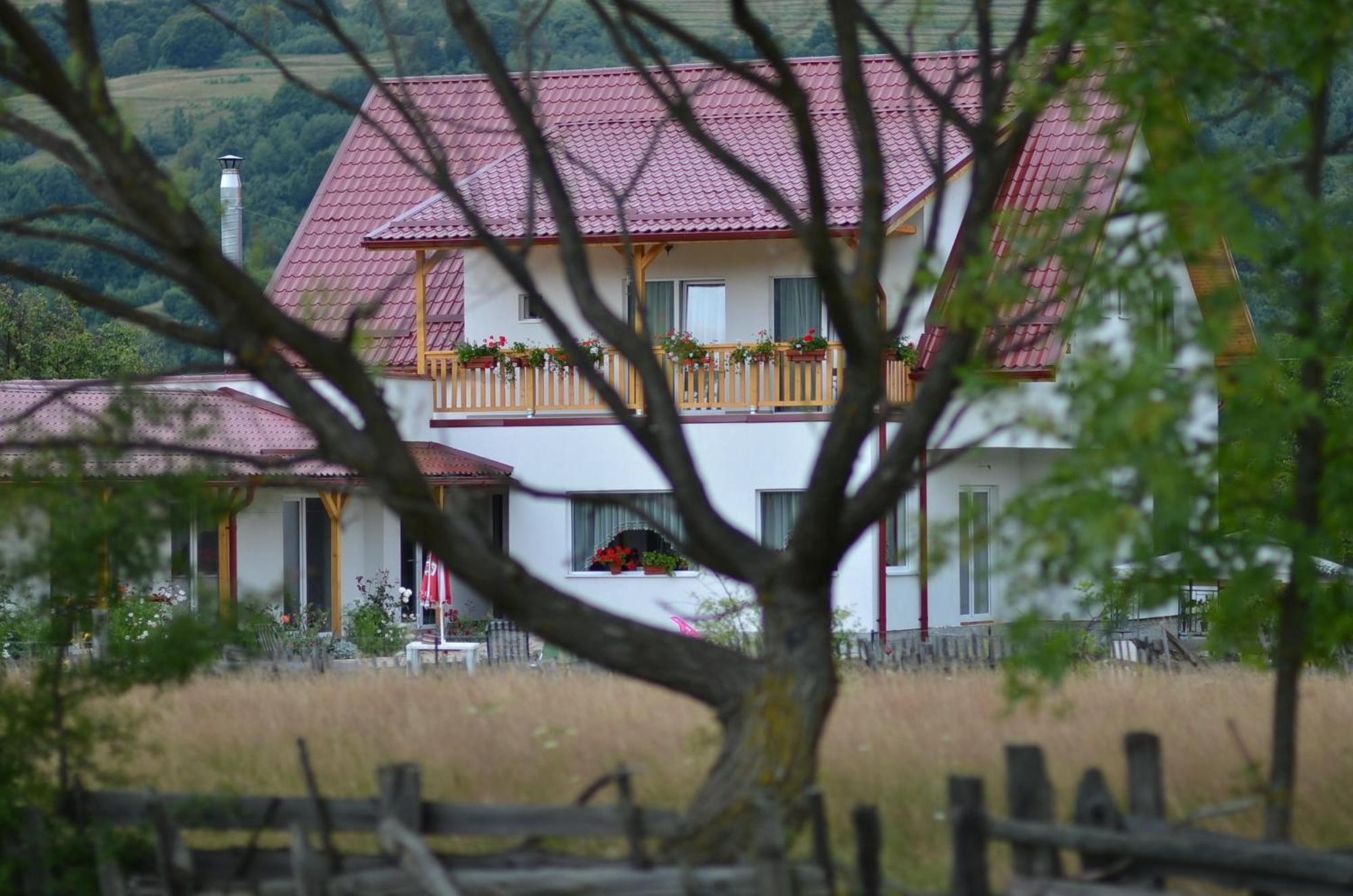 Pensiunea Poezii Alese Valea Drăganului Esterno foto