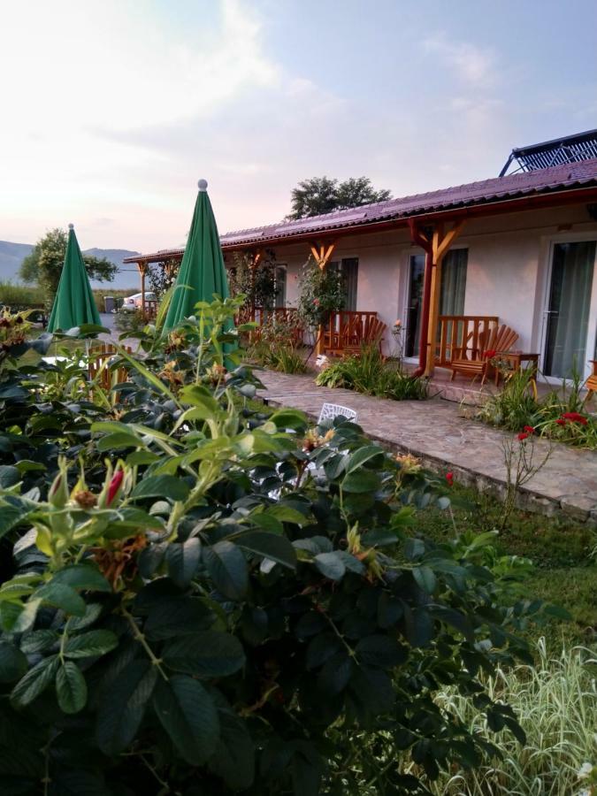 Pensiunea Poezii Alese Valea Drăganului Esterno foto