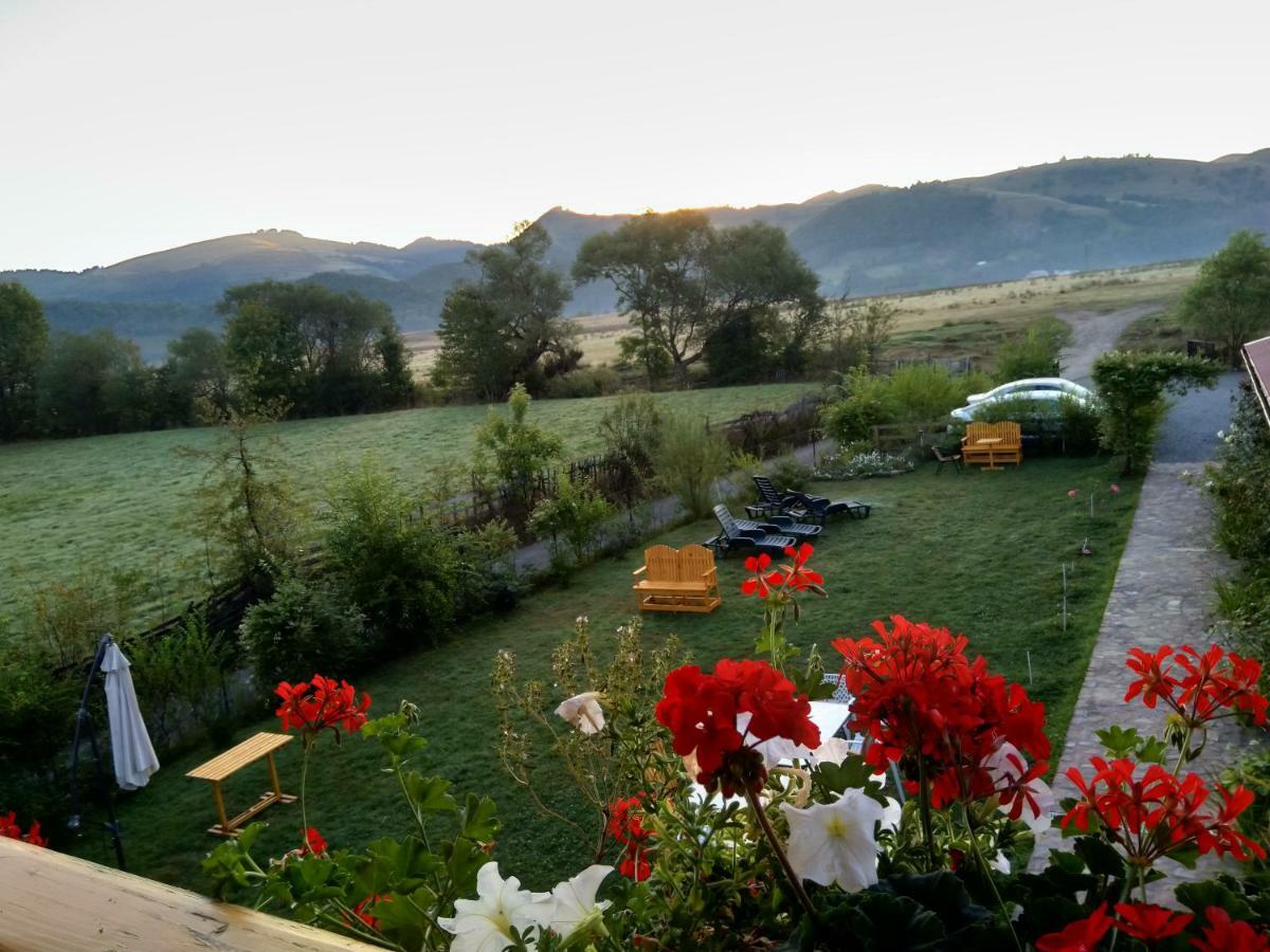 Pensiunea Poezii Alese Valea Drăganului Esterno foto